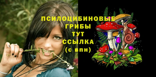 метадон Белокуриха